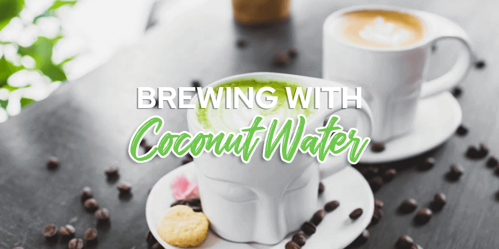 Brewing-with-Coconut-Water