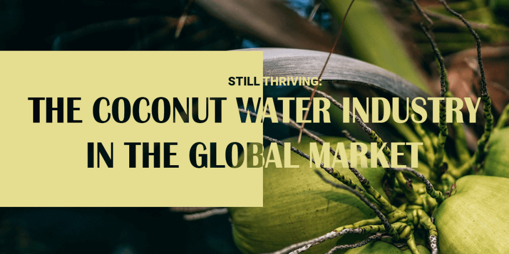 the-coconut-water-industry-in-the-global-market